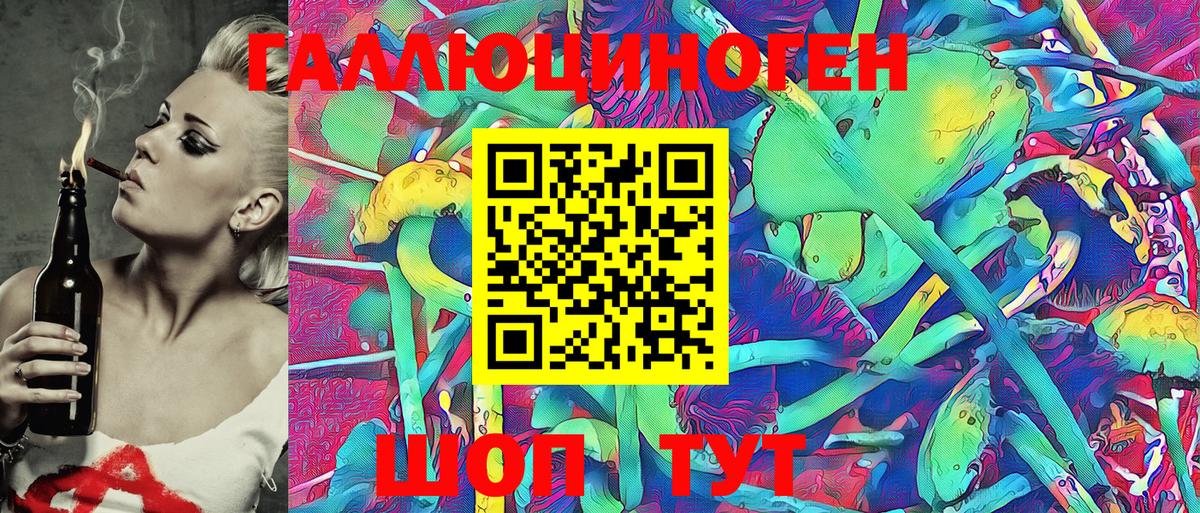 Галлюциногенные грибы Magic Shrooms  Вход с VPN  Ейск  Галлюциногенные грибы Psilocybe 